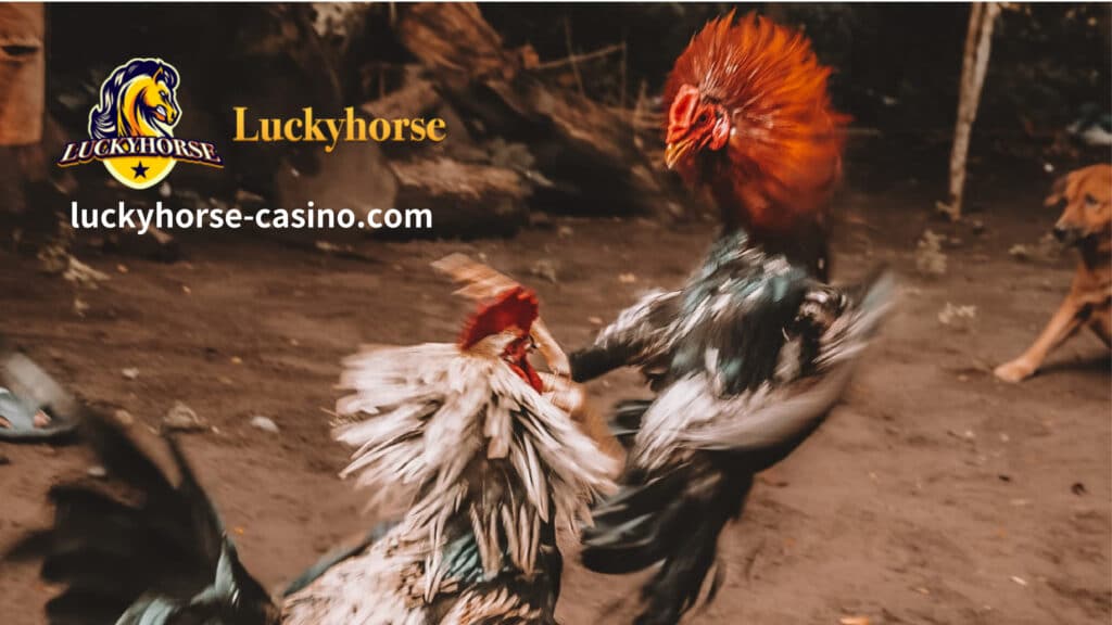 Ipinakilala sa iyo ng editor ng Lucky horse na ang Sabong sports ay maaari ding laruin sa mga online casino